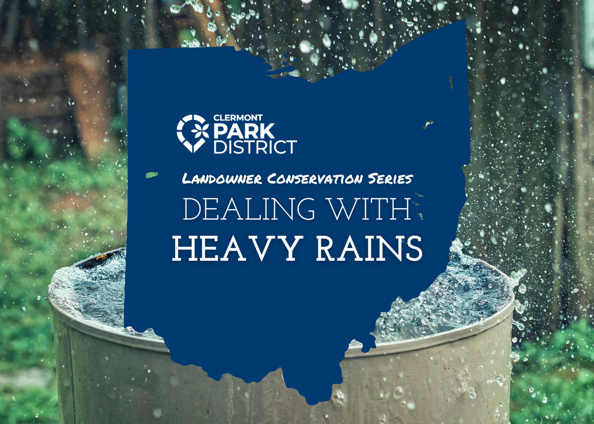 Dealing with Heavy Rains